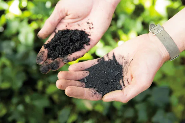 Biochar Giúp Giảm Chi Phí Canh Tác Như Thế Nào? Phân Tích Chi Tiết