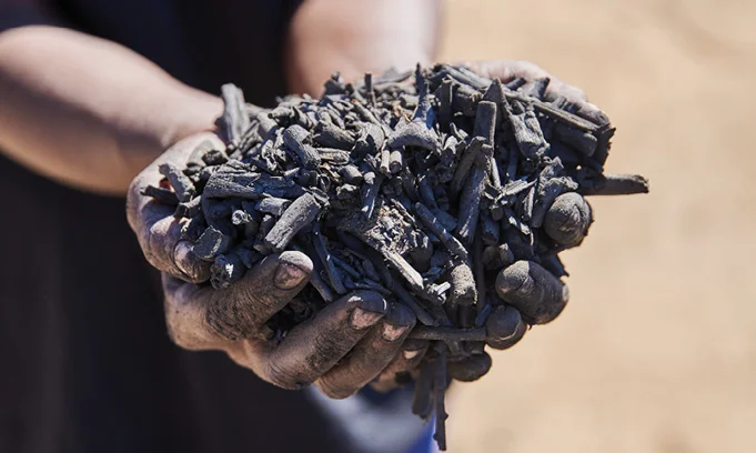 Biochar biến tính phốt pho giữ kim loại nặng bằng cơ chế nào?
